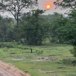 IMG_1221 - kopie - kopie