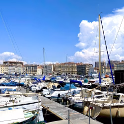 IMG_6557