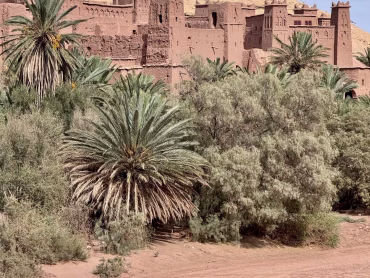 Vijf bijzondere stops in Marokko: van filmsets tot een tajine in de tuin